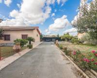 Sale - Single family house - Crevillent - Comunidad valenciana