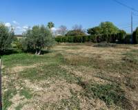 Sale - Single family house - Crevillent - Comunidad valenciana