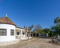 Sale - Single family house - Crevillent - Comunidad valenciana
