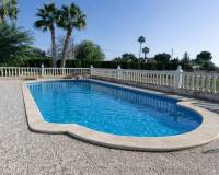 Sale - Single family house - Crevillent - Comunidad valenciana