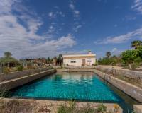 Sale - Single family house - Crevillent - DERRAMADOR
