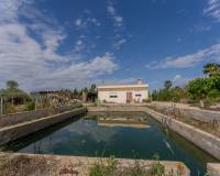 Sale - Single family house - Crevillent - DERRAMADOR