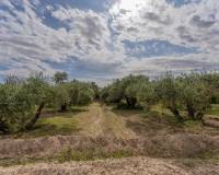 Sale - Single family house - Crevillent - DERRAMADOR