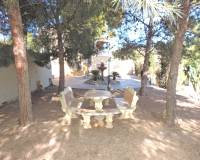 Sale - Single family house - Crevillent - PTD.SAN ANTONIO