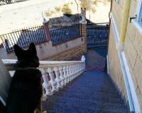 Sale - Single family house - Crevillent - PTD.SAN ANTONIO