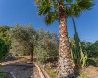 Sale - Single family house - El altet - El Altet - Balsares