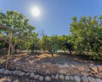 Sale - Single family house - El altet - El Altet - Balsares