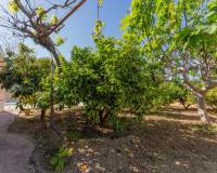 Sale - Single family house - El altet - El Altet - Balsares