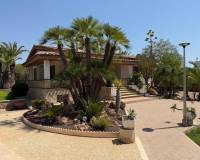Sale - Single family house - Elche - Bonavista