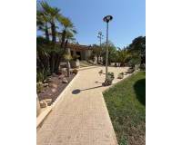 Sale - Single family house - Elche - Bonavista
