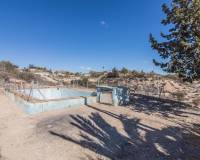 Sale - Single family house - Elche - Carrus