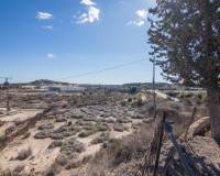 Sale - Single family house - Elche - Carrus