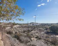 Sale - Single family house - Elche - Carrus