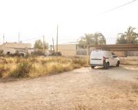 Sale - Single family house - Elche - Carrus