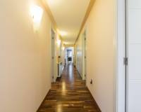 Sale - Single family house - Elche - Ciudad Jardin