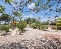 Sale - Single family house - Elche - La Galia-Bonavista