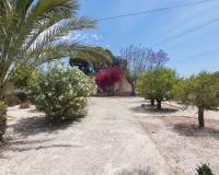Sale - Single family house - Elche - La Galia-Bonavista