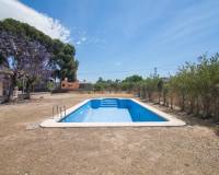 Sale - Single family house - Elche - La Galia-Bonavista