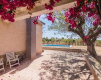 Sale - Single family house - Elche - La Galia-Bonavista