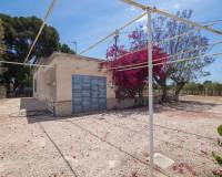Sale - Single family house - Elche - La Galia-Bonavista