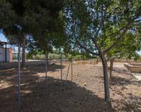 Sale - Single family house - Elche - La Galia-Bonavista