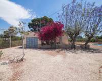 Sale - Single family house - Elche - La Galia-Bonavista