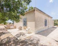 Sale - Single family house - Elche - La Galia-Bonavista