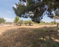 Sale - Single family house - Elche - La Galia-Bonavista