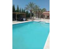 Sale - Single family house - Elche pedanias - Algoda