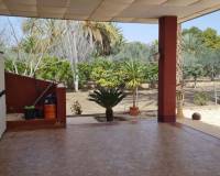 Sale - Single family house - Elche pedanias - Algoda