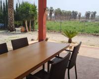 Sale - Single family house - Elche pedanias - Algoda