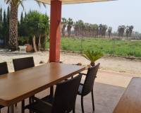 Sale - Single family house - Elche pedanias - Algoda