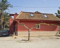 Sale - Single family house - Elche pedanias - Algoda