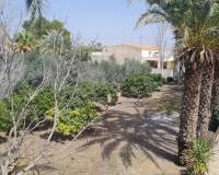 Sale - Single family house - Elche pedanias - Algoda