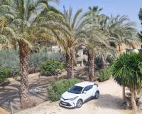 Sale - Single family house - Elche pedanias - Algoda