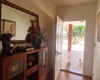 Sale - Single family house - Elche pedanias - Algoda