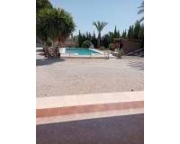 Sale - Single family house - Elche pedanias - Algoda