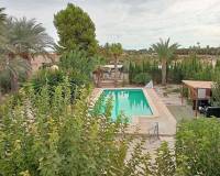 Sale - Single family house - Elche pedanias - Algoda