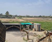 Sale - Single family house - Elche pedanias - Algoda