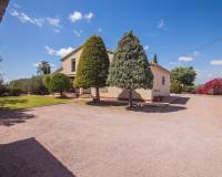 Sale - Single family house - Elche pedanias - Alzabares