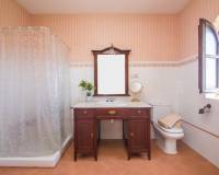 Sale - Single family house - Elche pedanias - Alzabares