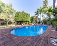 Sale - Single family house - Elche pedanias - Alzabares