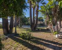 Sale - Single family house - Elche pedanias - Alzabares