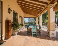 Sale - Single family house - Elche pedanias - Alzabares