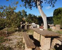 Sale - Single family house - Elche pedanias - Alzabares