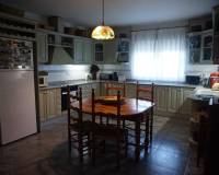 Sale - Single family house - Elche pedanias - Alzabares