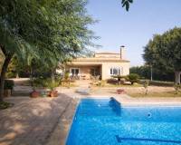 Sale - Single family house - Elche pedanias - Alzabares