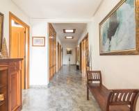 Sale - Single family house - Elche pedanias - Alzabares