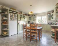 Sale - Single family house - Elche pedanias - Alzabares