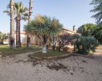 Sale - Single family house - Elche pedanias - Alzabares